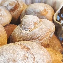 [1502] Shecas de Anís